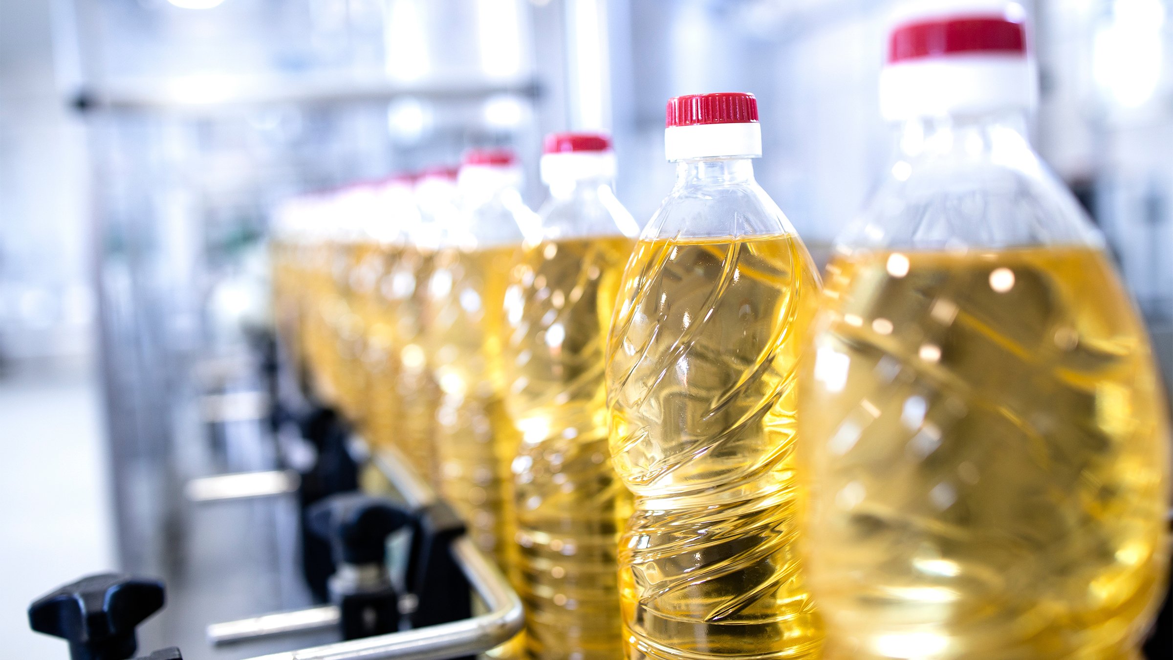 Vegetable oil production and bottles filled with sunflower oil on a conveyor machine.