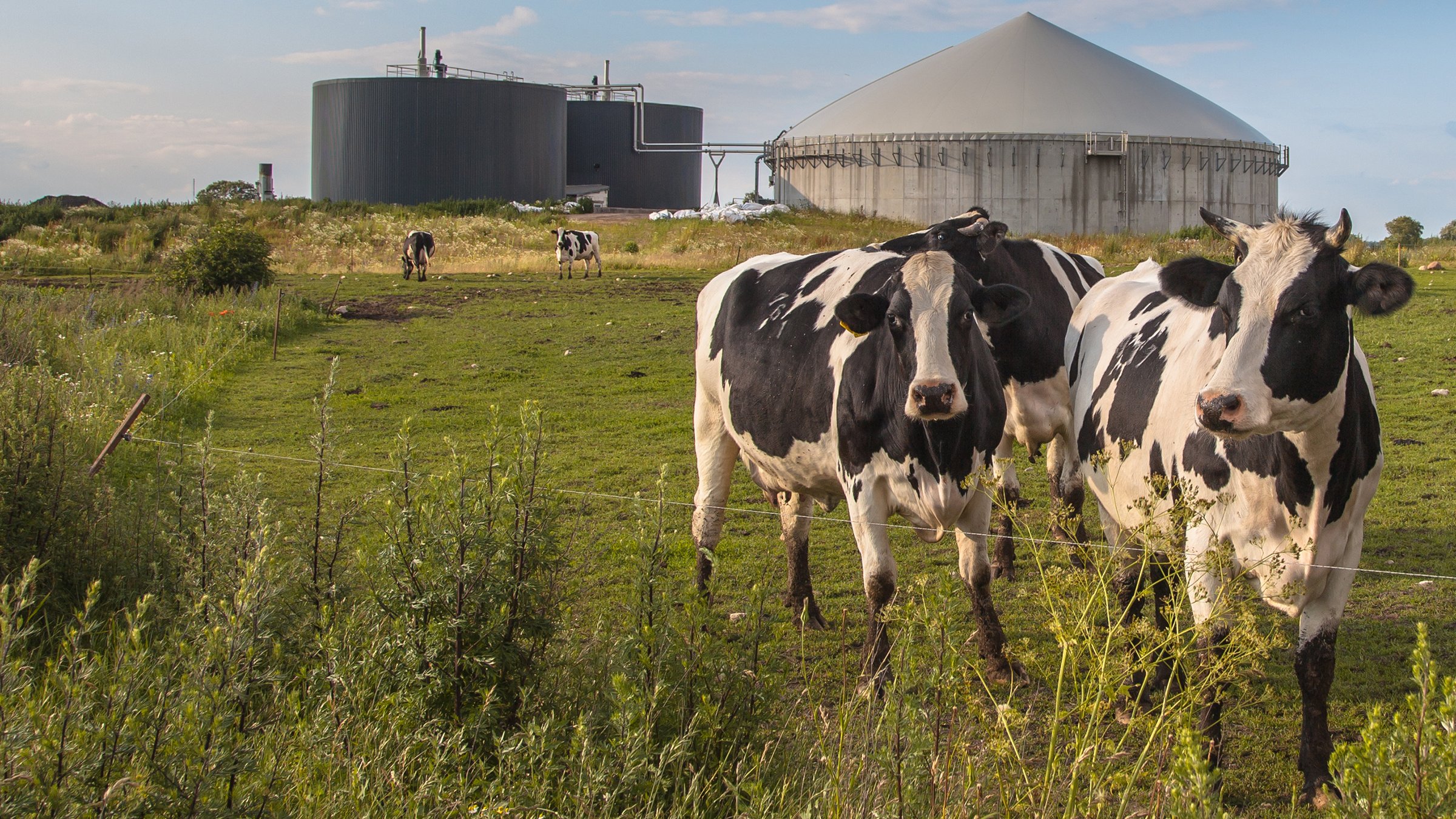 Bio Gas Installation Processing Cow Dung as part of a Farm