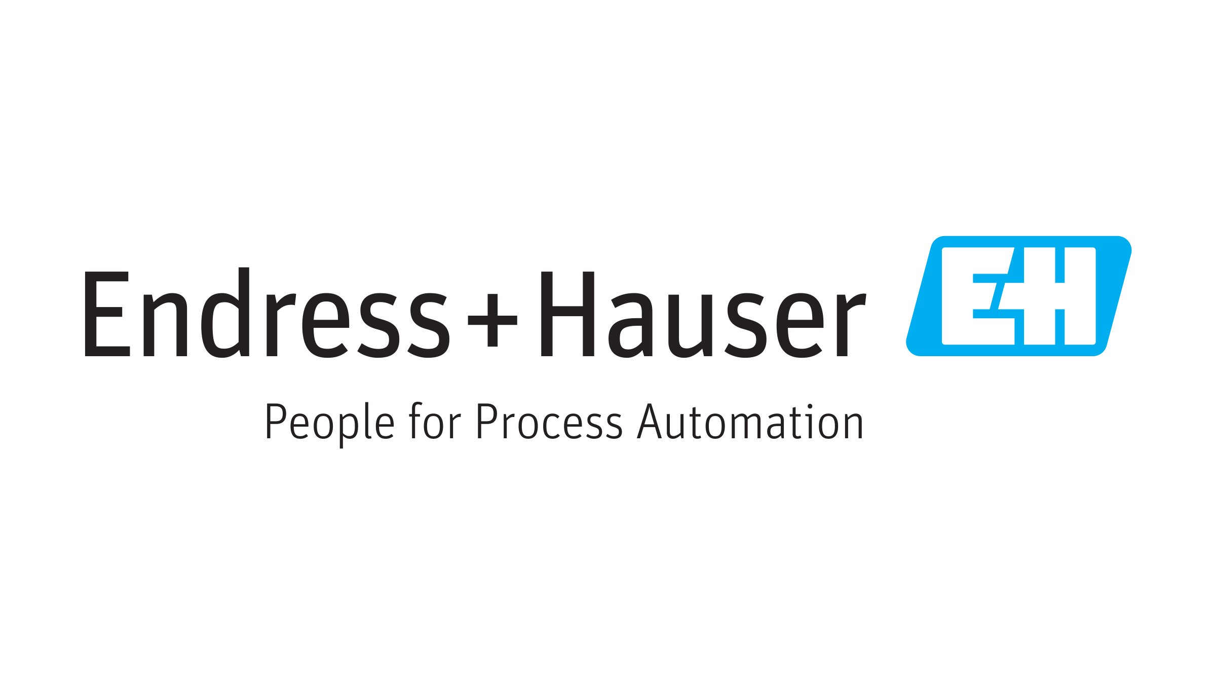 Endress & Hauser logo