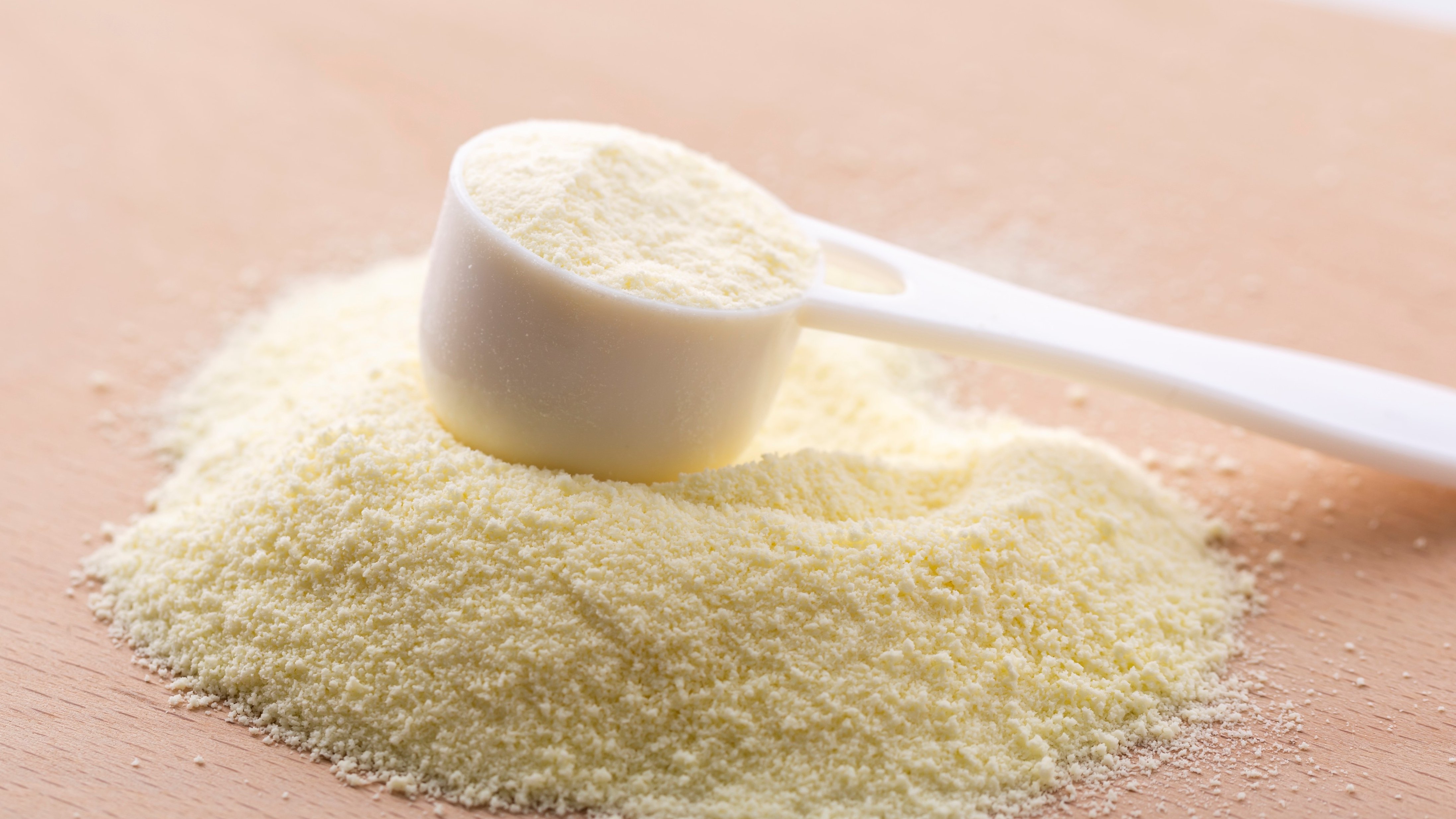Powdered milk in spoon, Dairy Industry