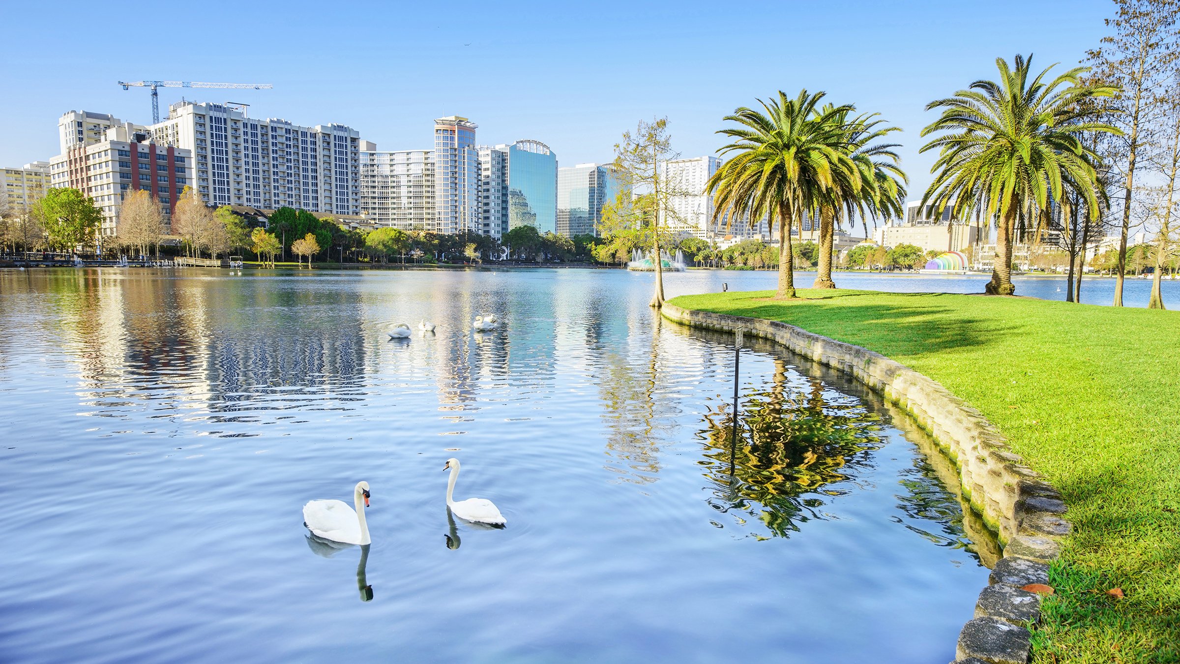 Lake Eola Park in Orlando, Florida displaying white swans in the water and skyline in the background.