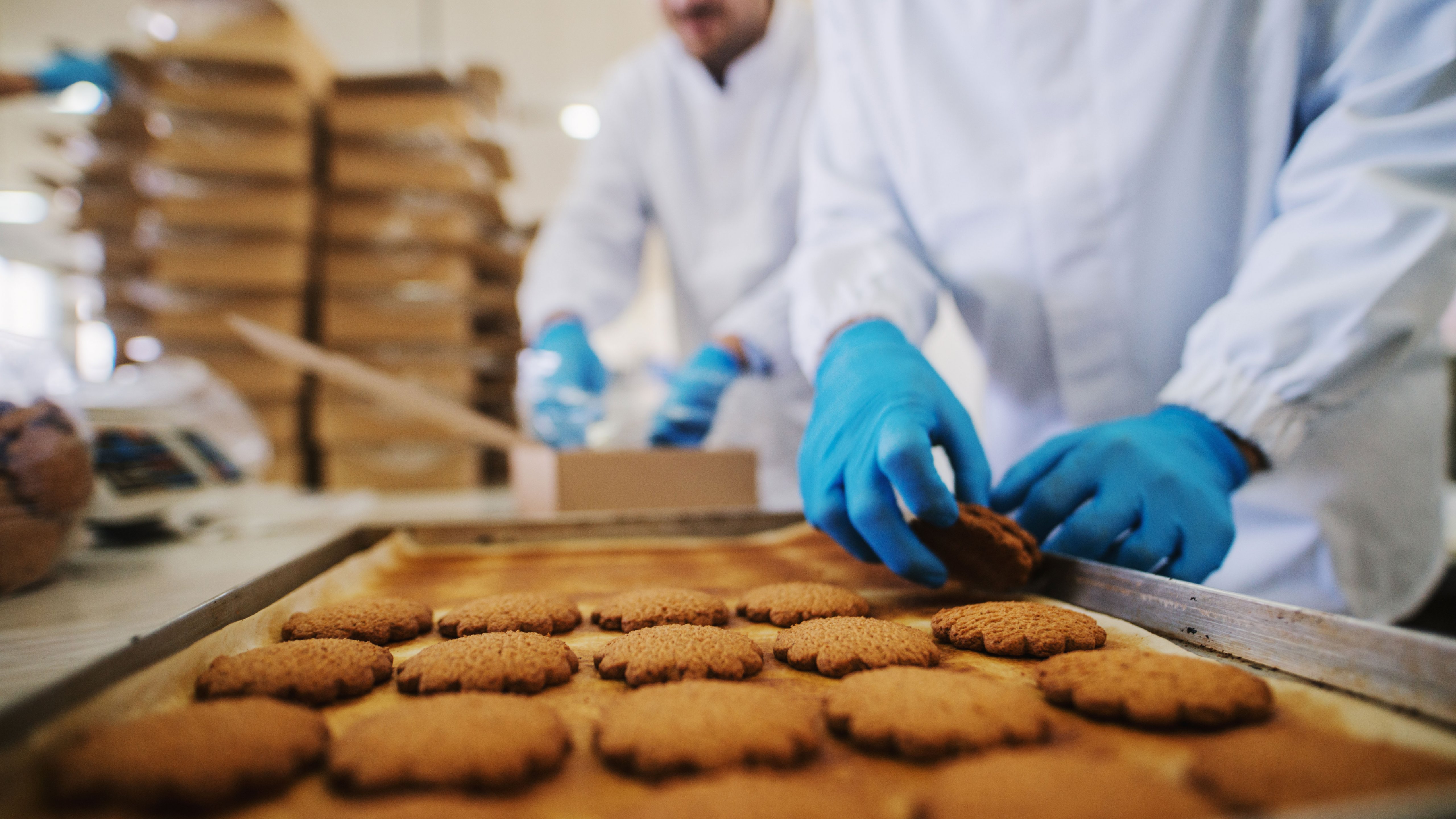 Trabajadores procesando alimentos