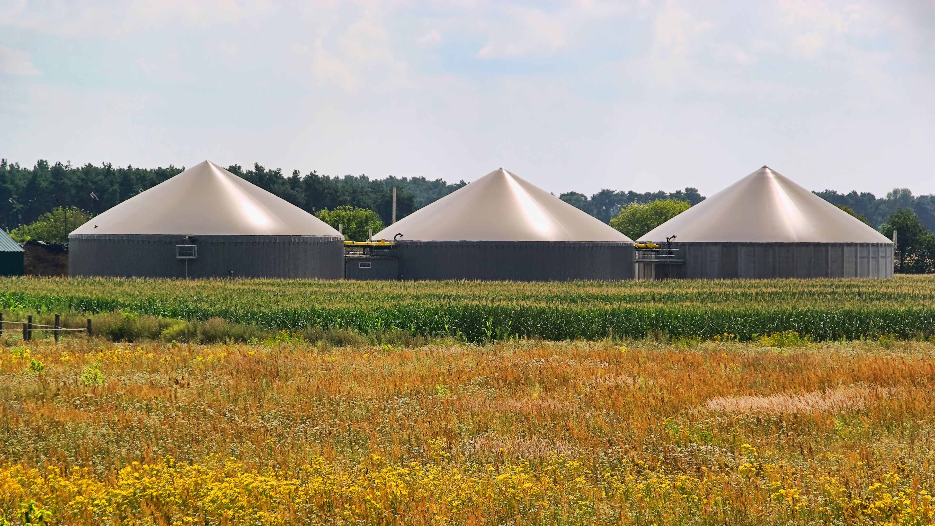 Biogasanlage - biogas plant 75