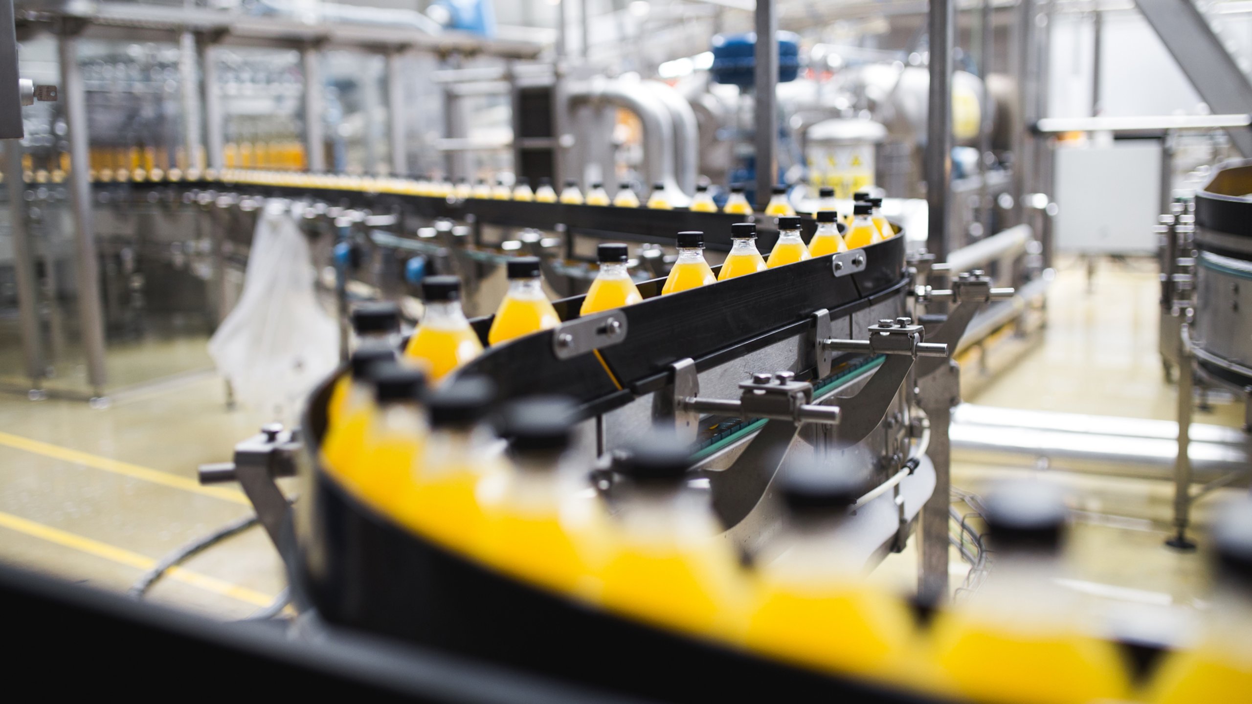 Clear plastic sports drink bottles move down a bottling line after being filled and capped in bottling facility.