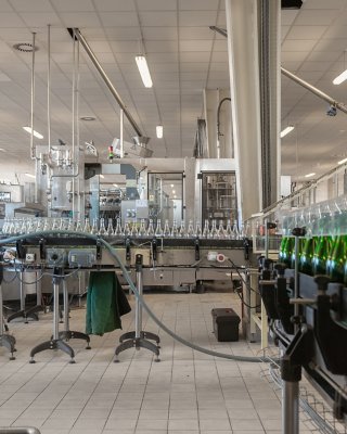 Many green bottles on conveyor belt in a bottling plant