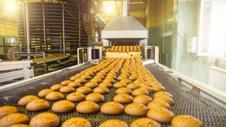 Cakes on automatic conveyor belt or line, process of baking in food manufacturing plant