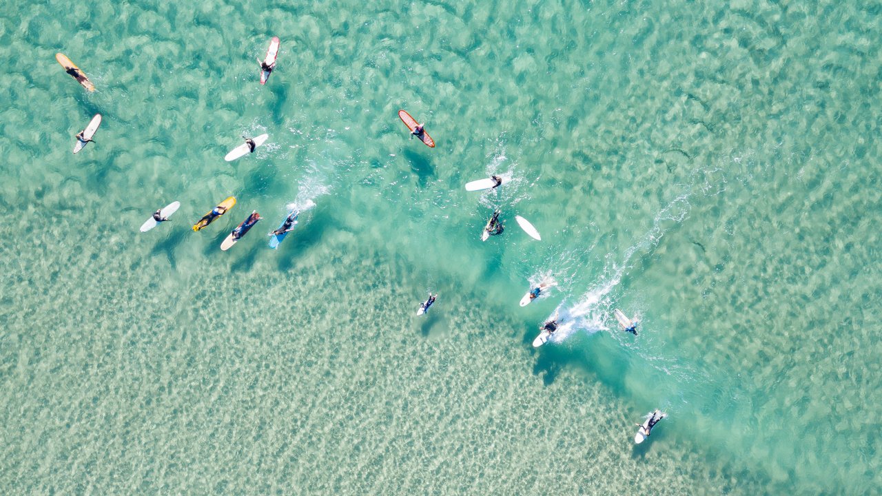 An aerial view of a group of surfers in a long along a wave in clear blue water