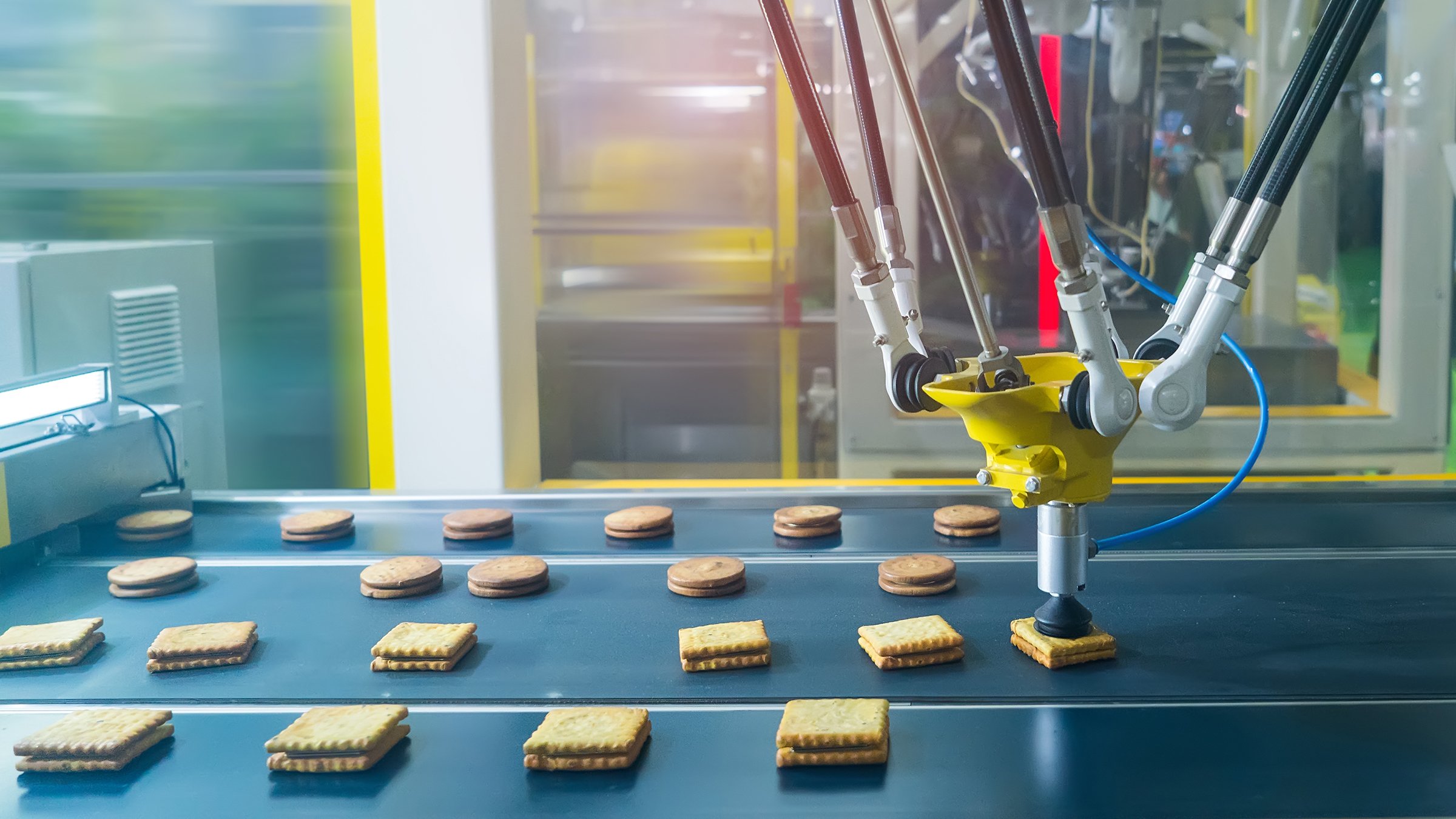 robot with vacuum suckers with conveyor in Production of cookies in a manufacture factory for the food industry 