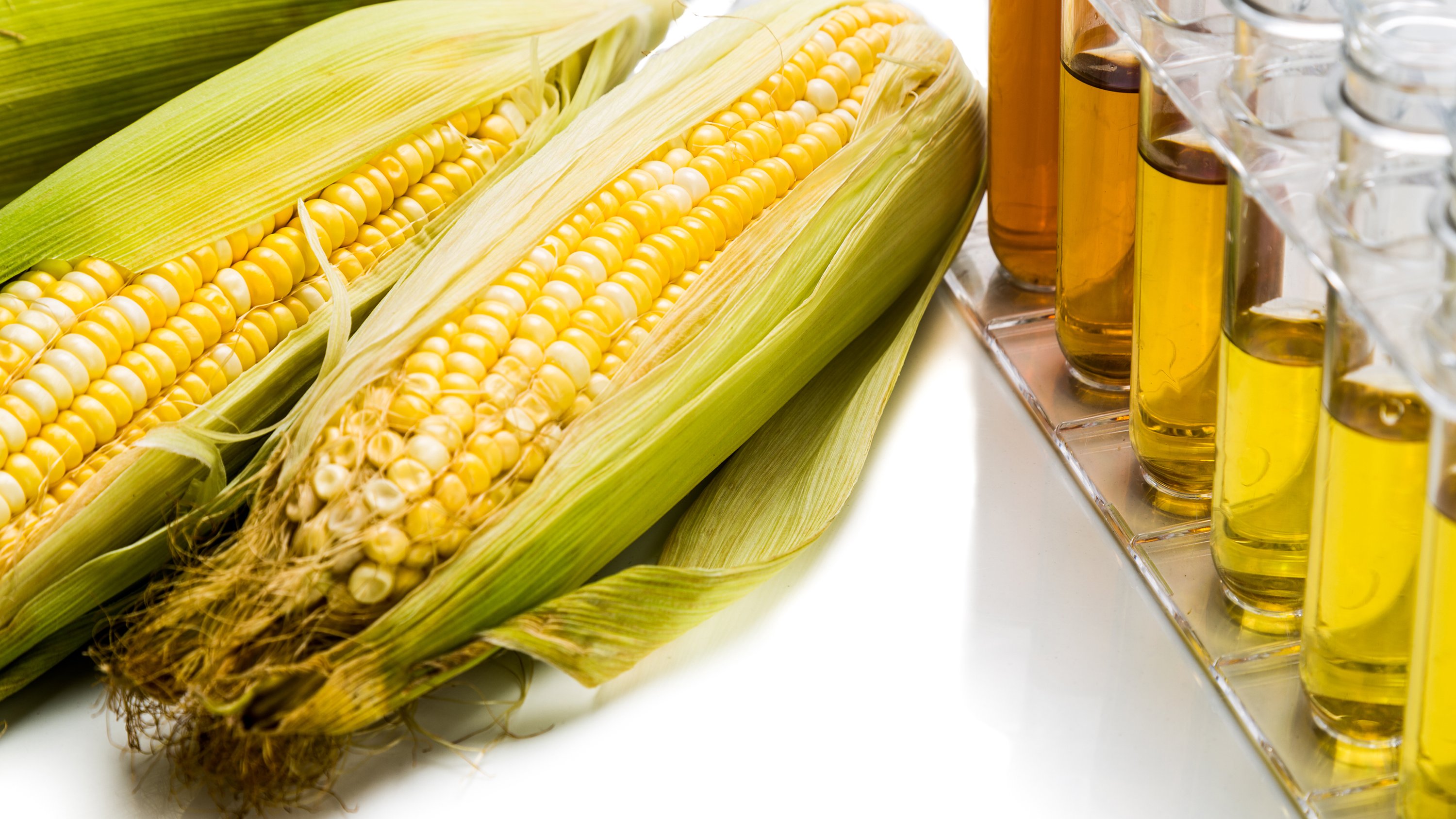 Corn generated ethanol biofuel with test tubes on white background