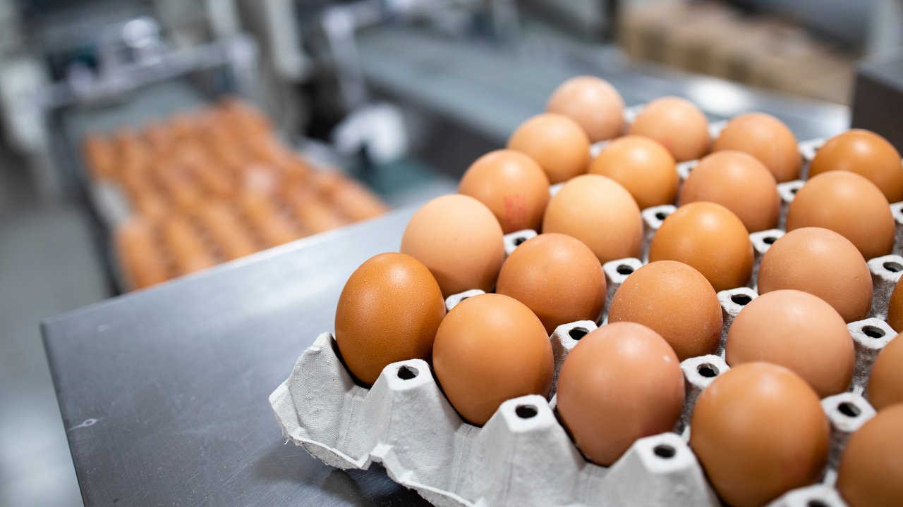 Egg farm and food processing factory. Close up view of egg crate with eggs and packing machine in background.