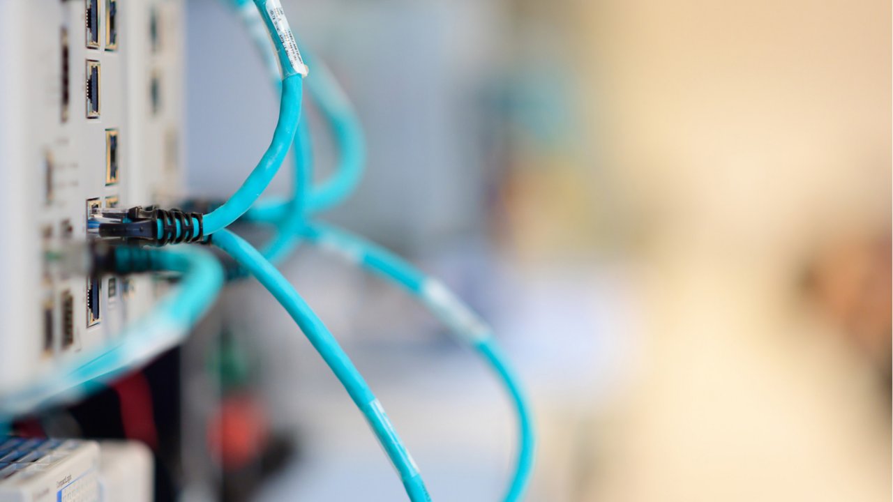 câbles ethernet bleus branchés dans un panneau de commande