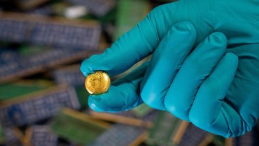Hand in a blue glove holding gold pin - Royal Mint