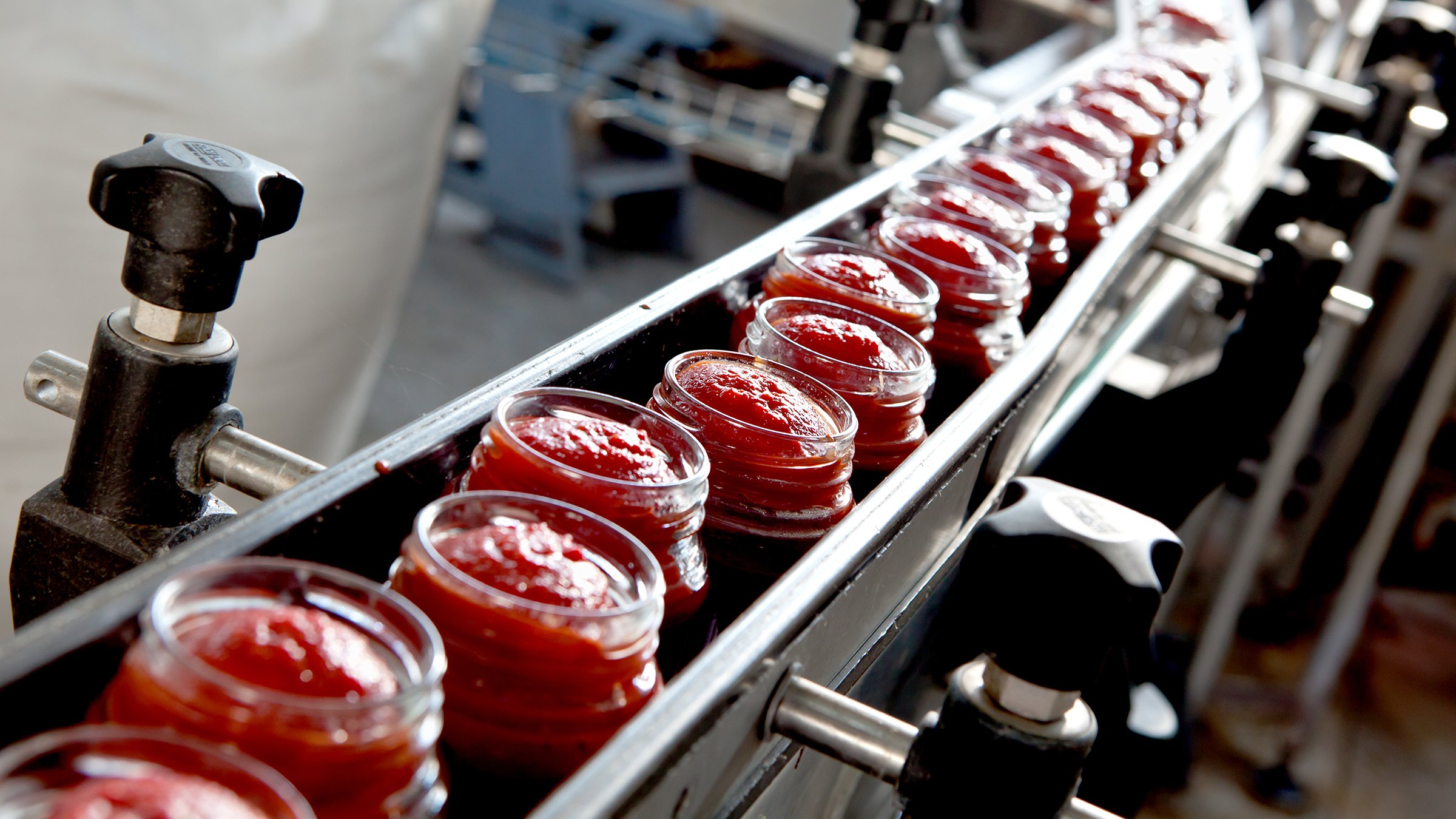 jarred tomatoes on production line in food manufacturing plant