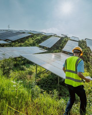 Man in an orange hard hat and safety green vest walking among outdoor solar panels in a grassy field.