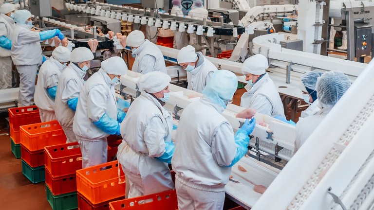 Várias pessoas utilizando EPI (equipamento de proteção individual) trabalhando na linha de montagem em uma fábrica de processamento de aves