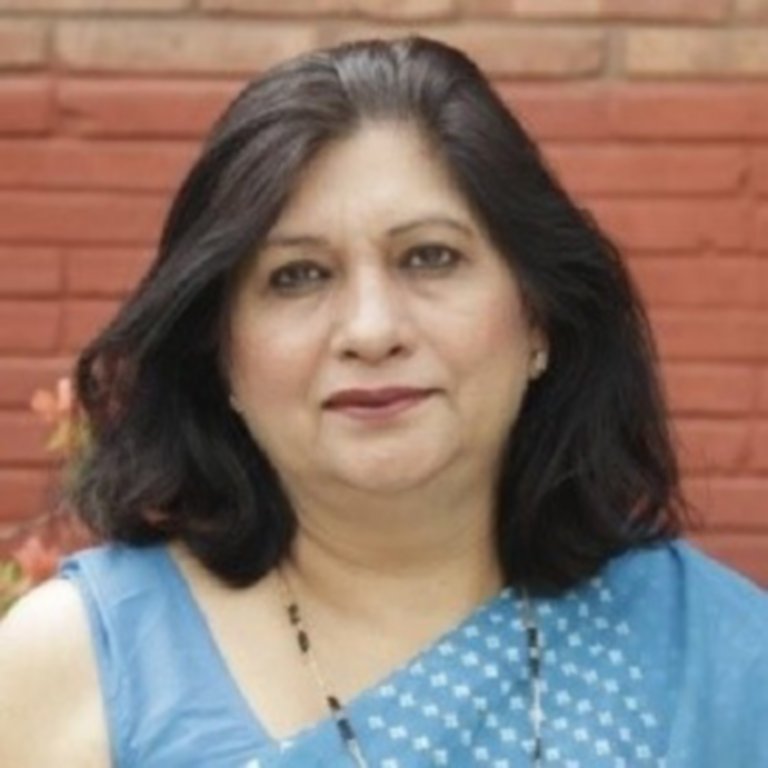 Dr Vibha Dhawan,  director general, The Energy and Resources Institute