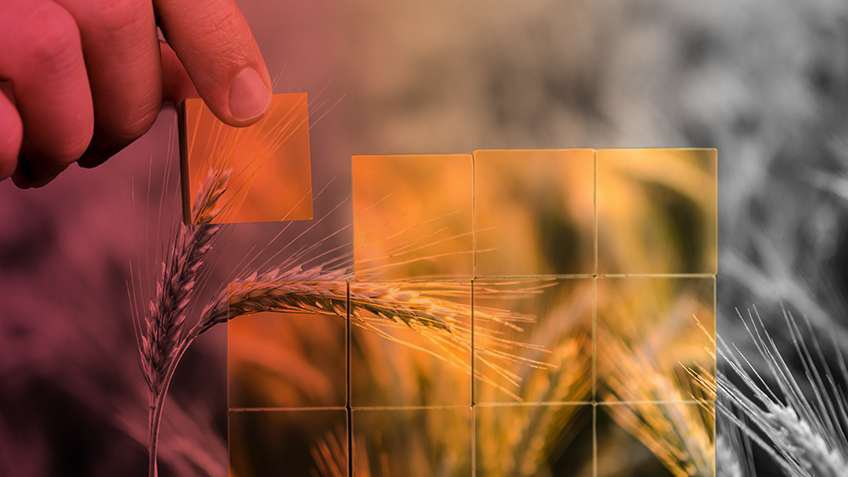<strong>WEBINAR</strong>: Lo que todo fabricante de alimentos y bebidas necesita saber sobre la ciberseguridad. Regístrese para ver la primera parte de una serie de 4 partes sobre prácticas recomendadas de ciberseguridad.