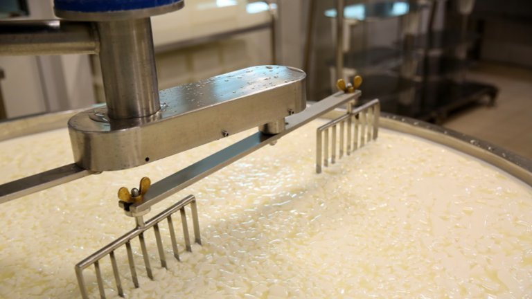Curd and whey in tank at cheese factory, closeup
