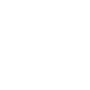cybersécurité