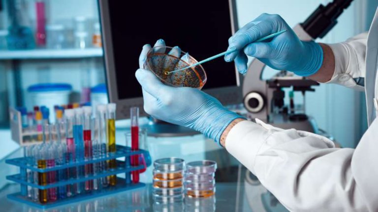 Un employé dans un établissement dédié aux sciences de la vie prélève une boîte de Petri avec des gants de protection.