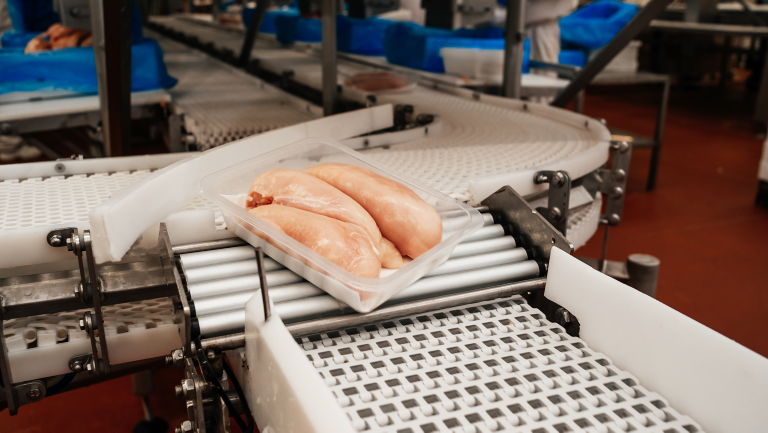 Packing of chicken in boxes on a conveyor belt