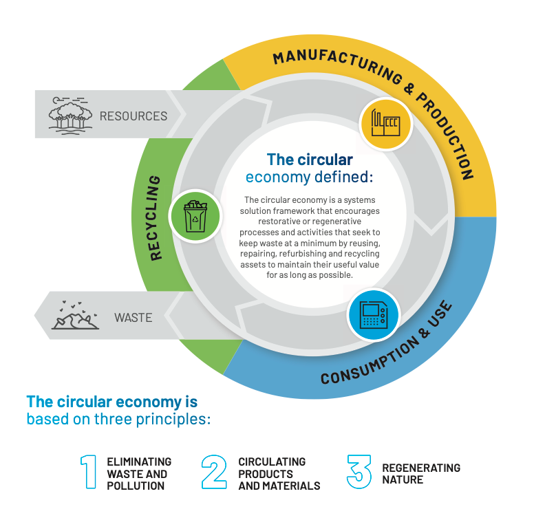 Circular Economy Infographic