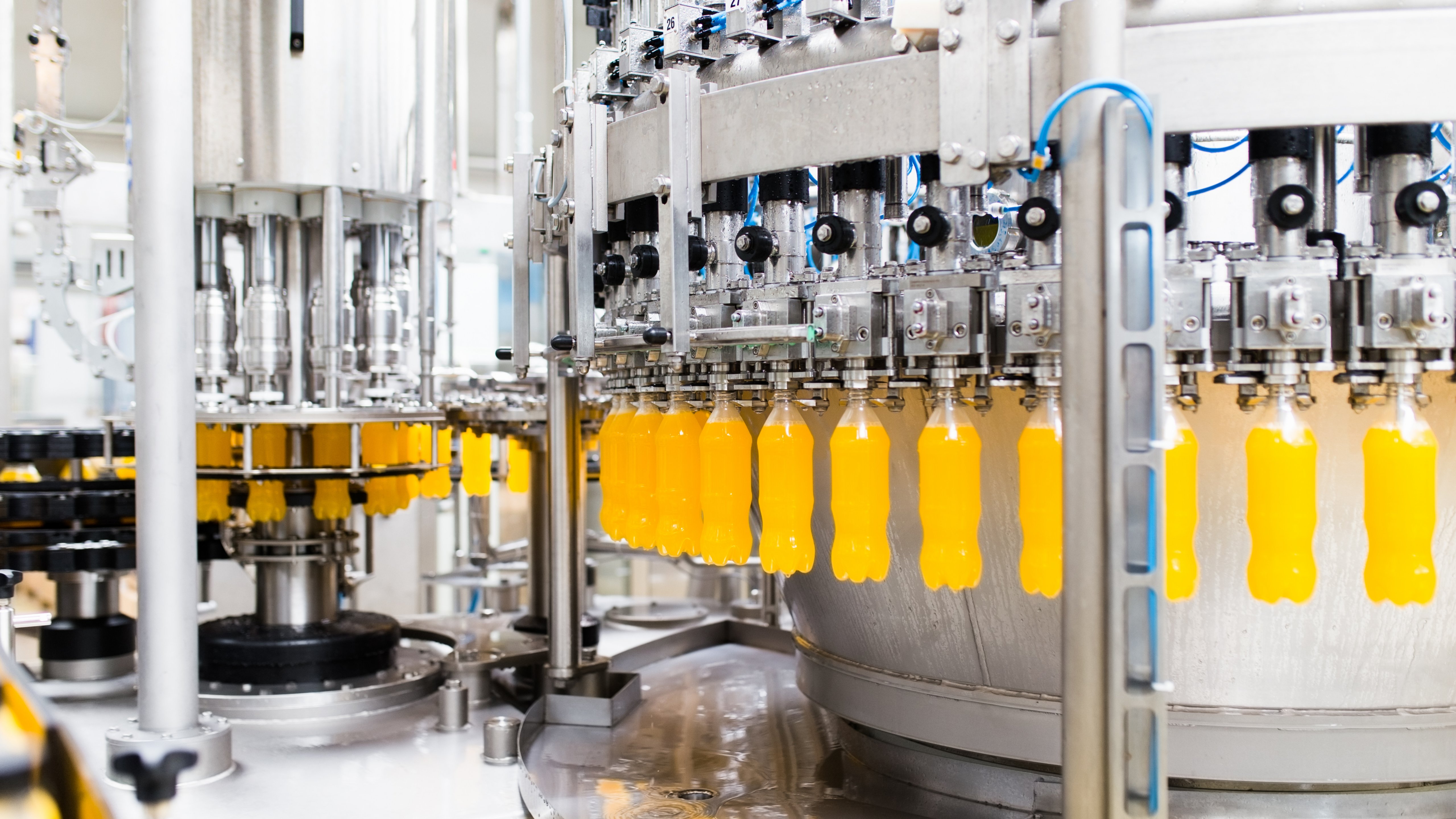 Beverage manufacturing facility displaying the automated process of filling bottles