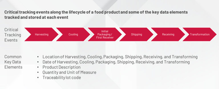 Food Safety Blog Image