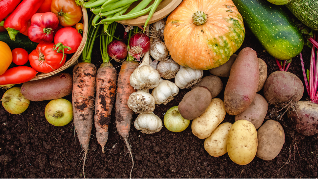 top-view-of-pile-of-tomatoes-garlic-carrots-and-other-vegetables