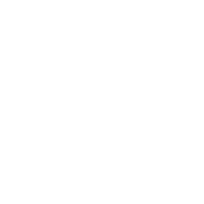 core network