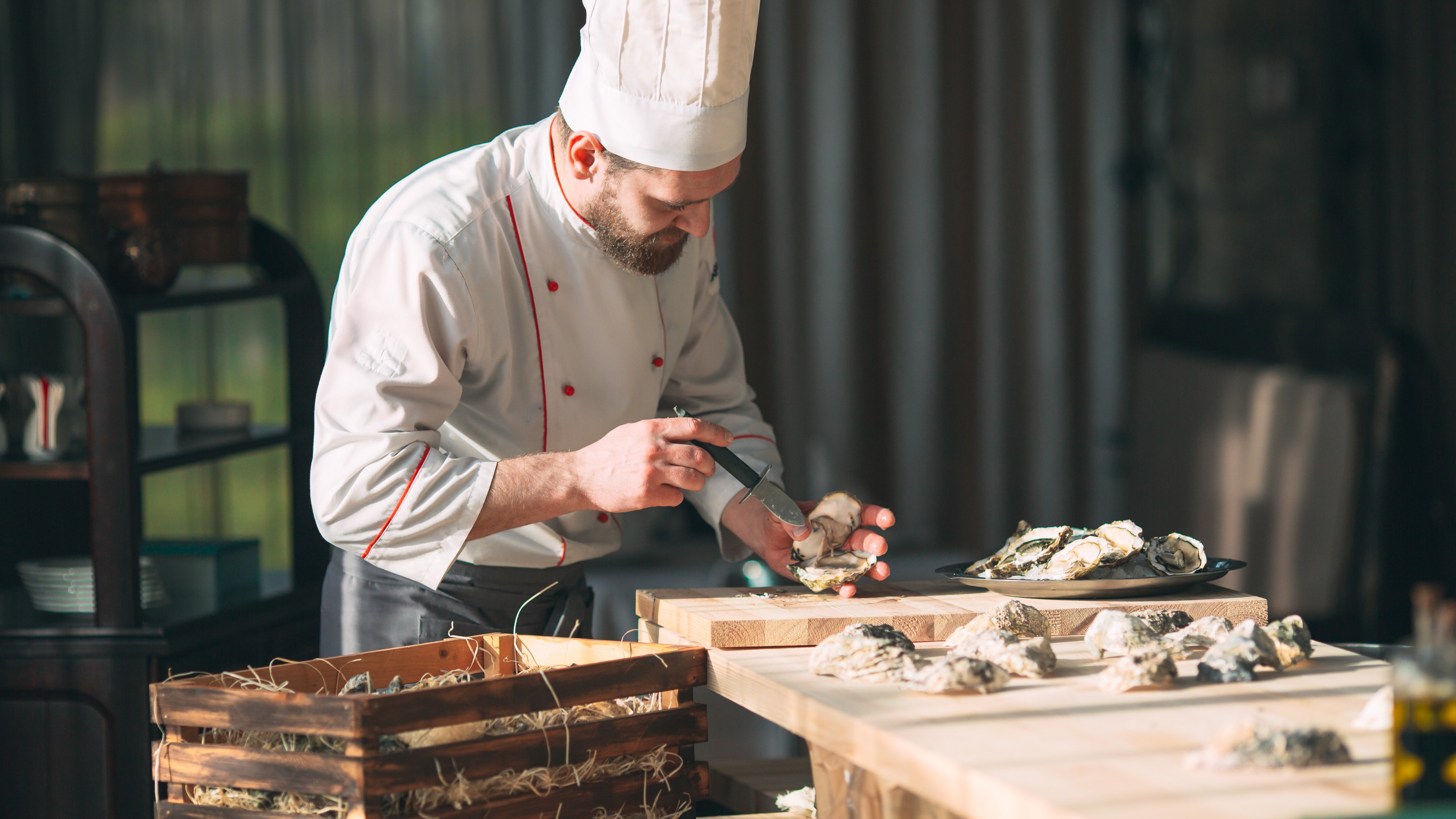 Opening the hollow and flat oysters Chef opens oysters in the restaurant