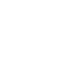 Person at computer screen icon