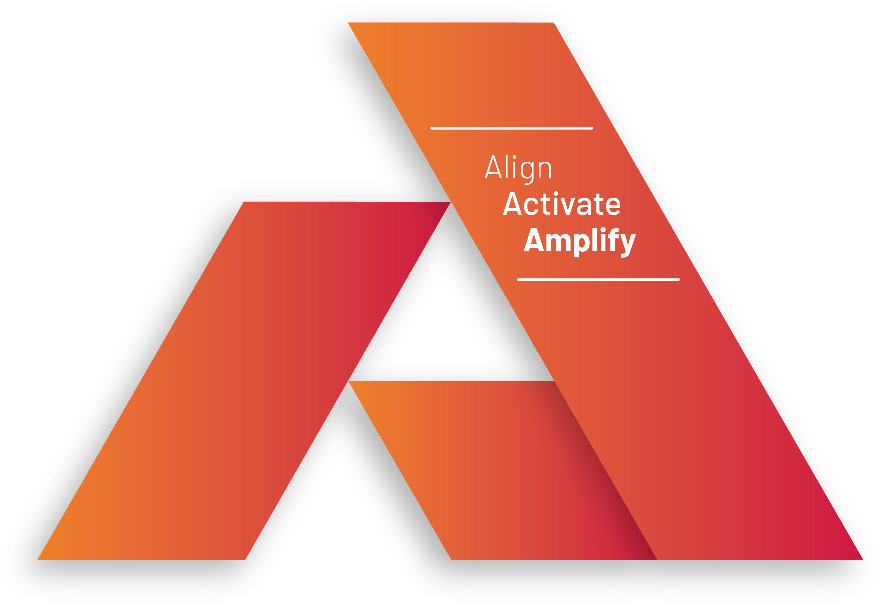 PNC2025 Align, Activate and Amplify