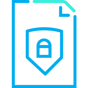 Security Policy