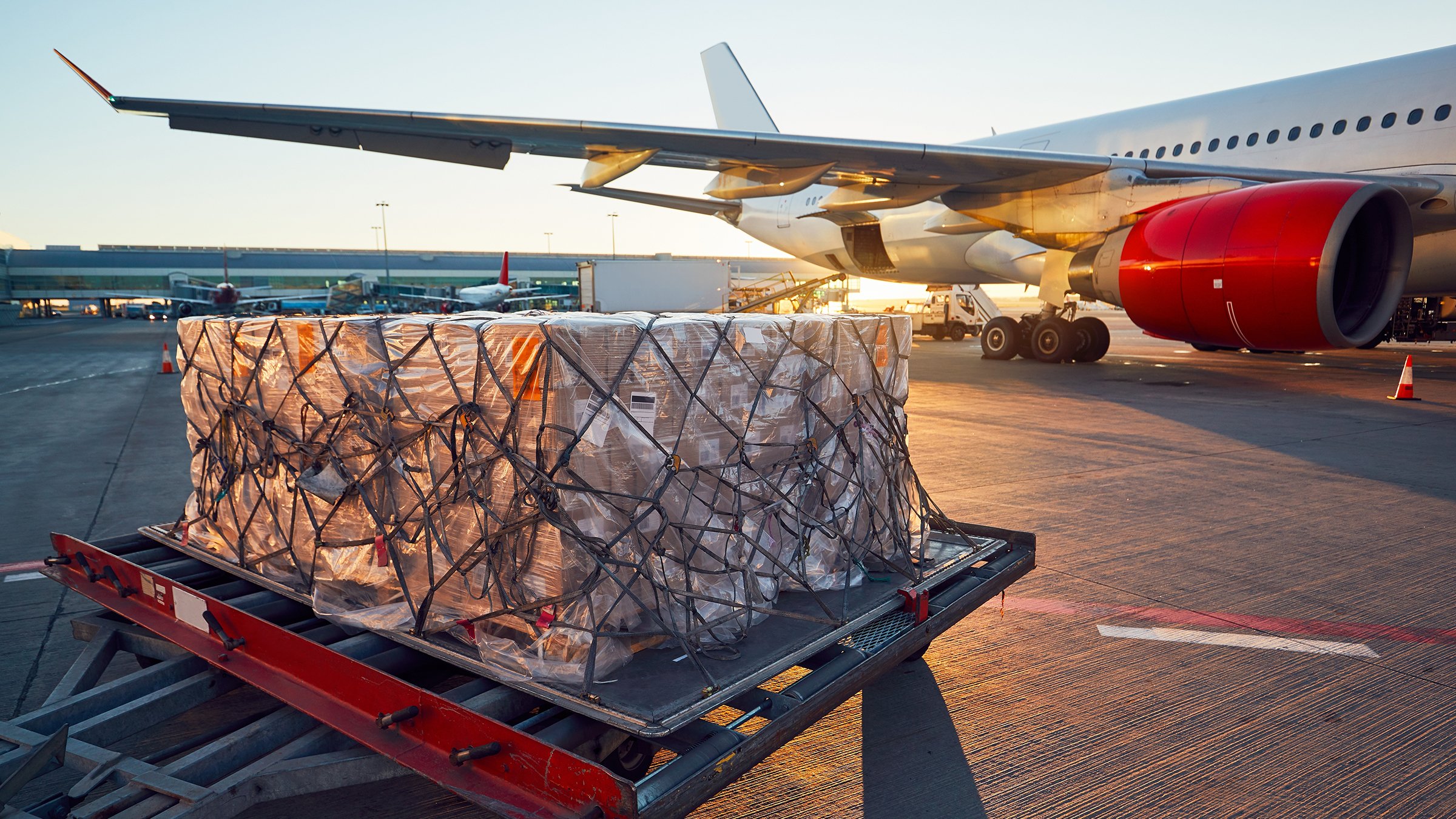 Cargo being loaded onto cargo plane