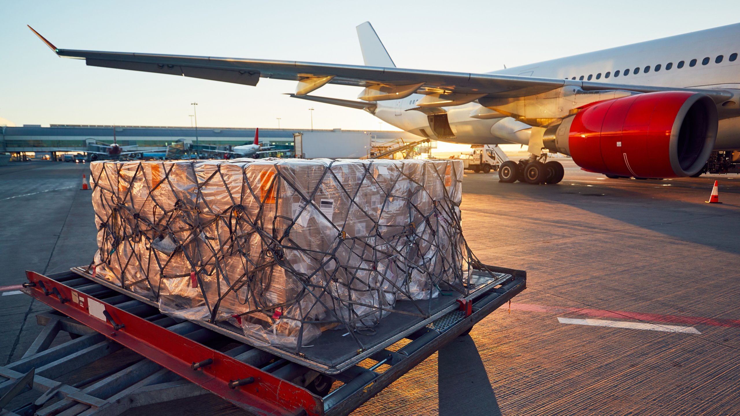 Package Delivery Company Identifies Millions In Savings Arena 