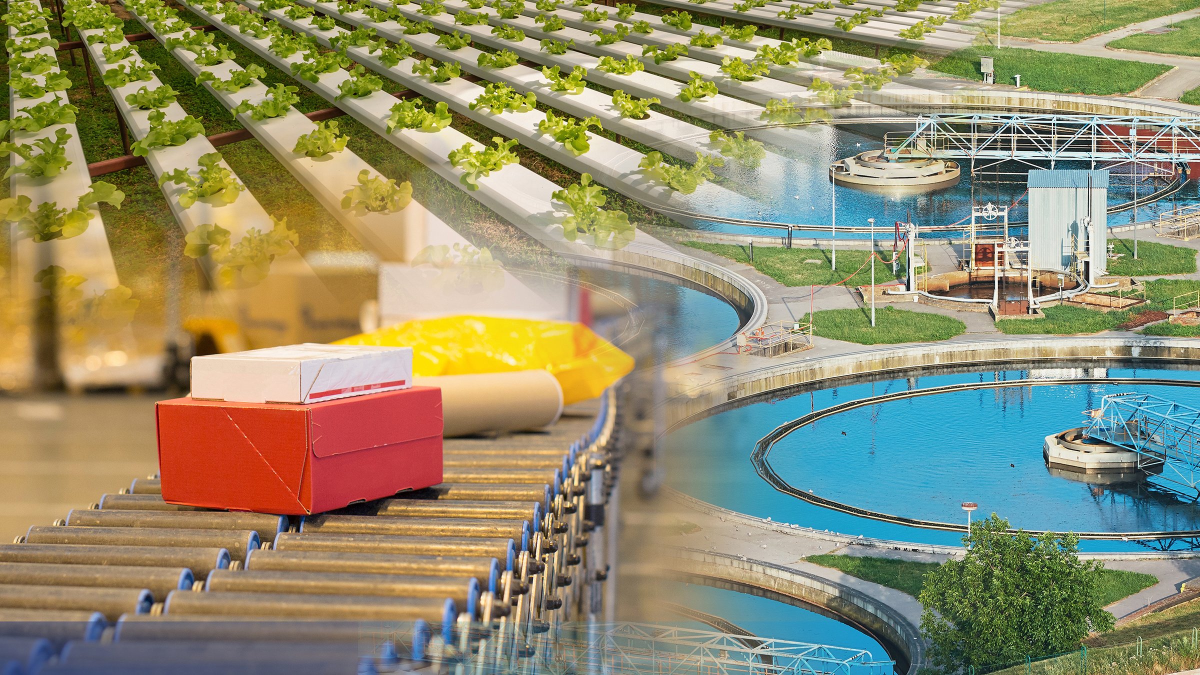 A collage image of three key industries for Micro800 controllers. The top-left of the image shows multiple rows of green vegetables in a farm, bottom-left shows packages on a conveyor belt in a distribution warehouse and the right half of the image shows a zoomed out perspective of a water wastewater treatment plant.
