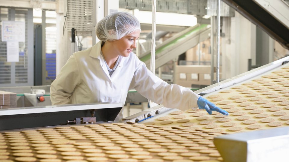 Colaborador de fábrica de biscoitos inspecionando biscoitos que acabaram de ser feitos na linha de produção