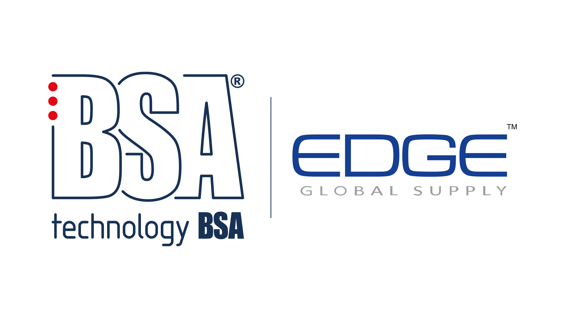 BSA Technology EDGE Global Supply logo