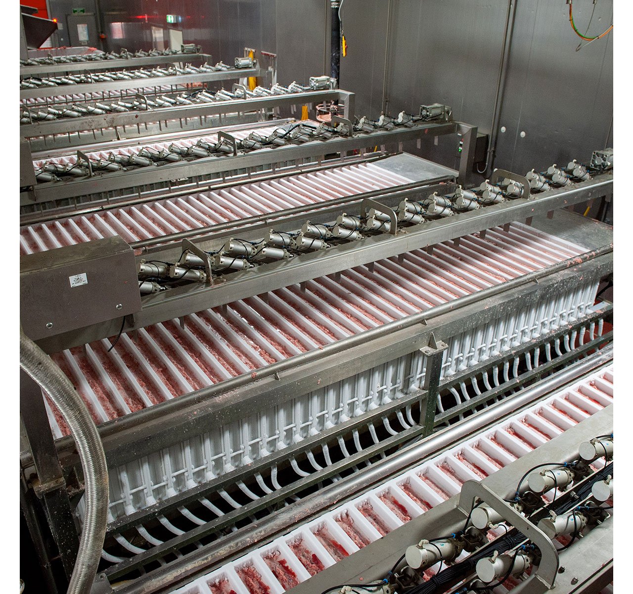 Pet Food Production Takes on a New Level of Automated Technology