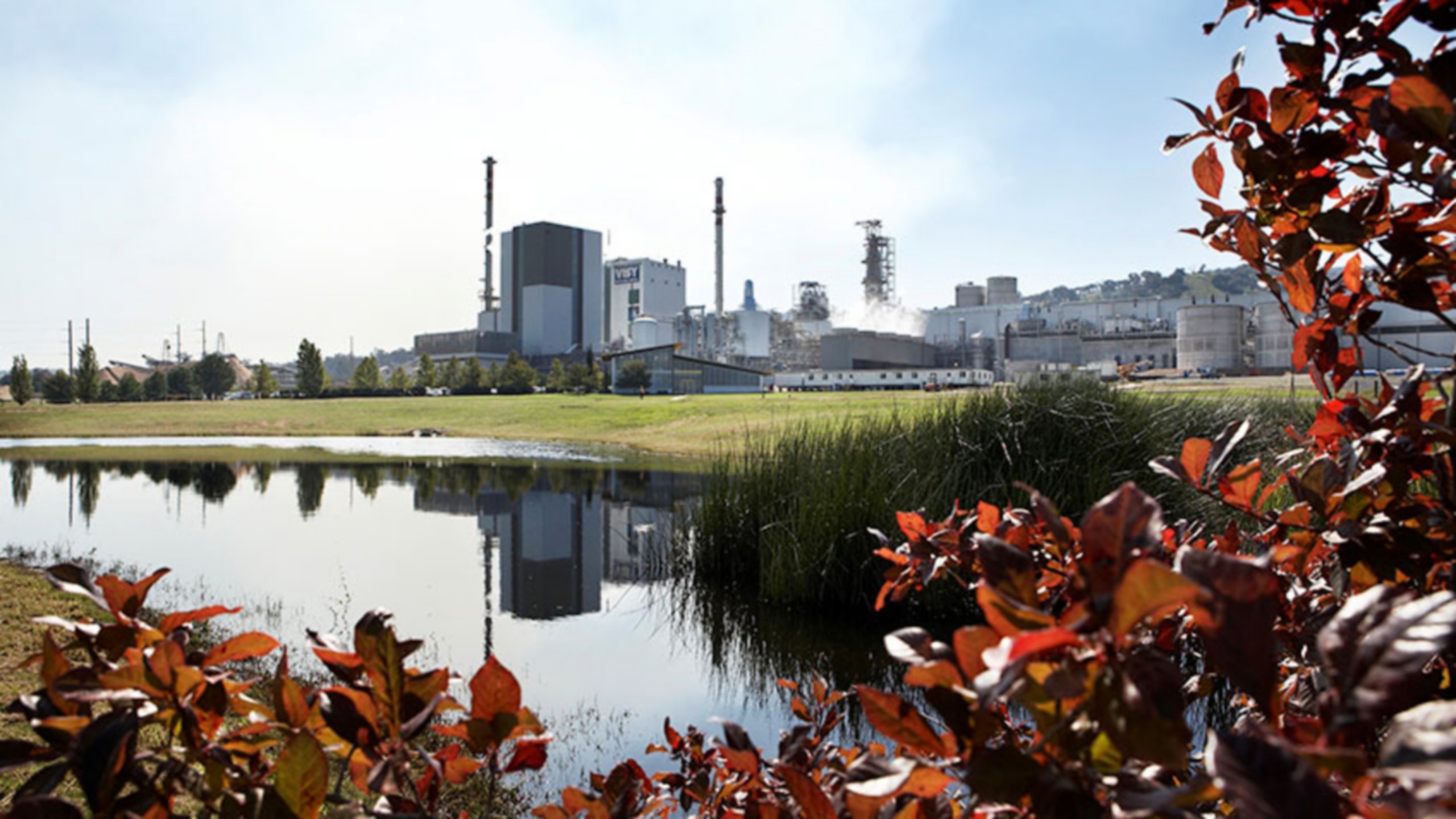 Driving Paper Production at Visy’s Pulp and Paper Mill