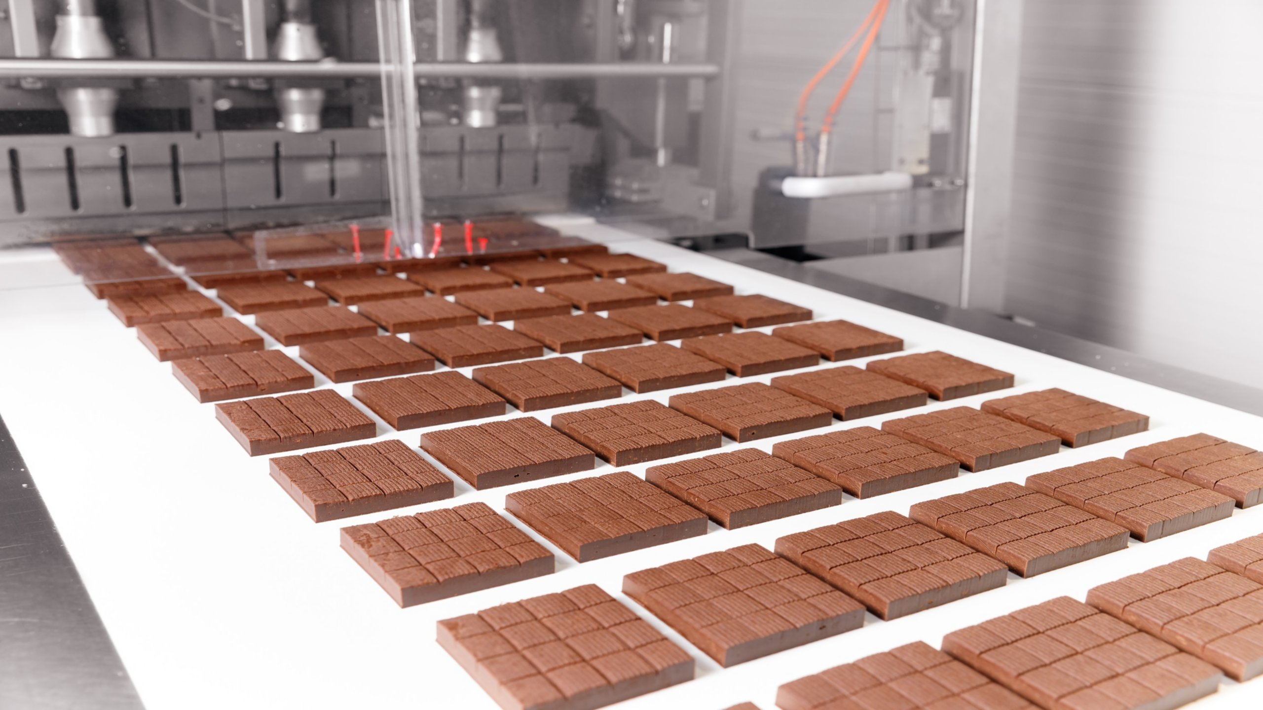 Axtel Gains Precision in Chocolate Molding & Spice Blending