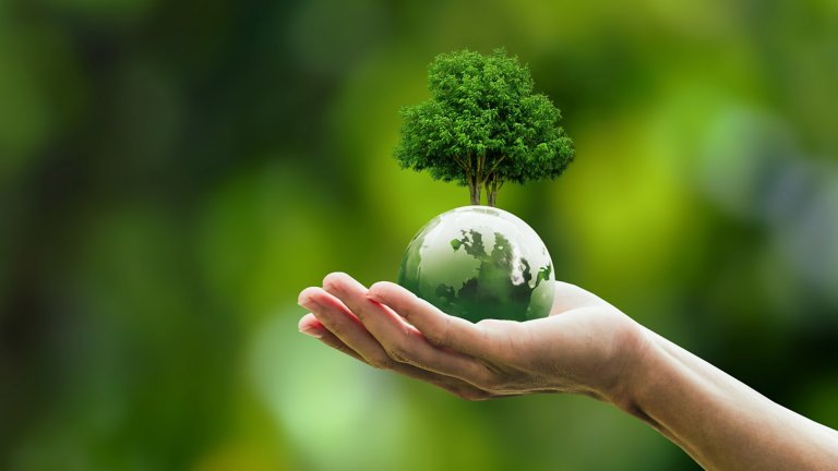 A hand holds a small world globe that has a green tree growing from it. This illustrates the circular economy and how Rockwell Automation can help manufacturers be more sustainable with asset optimization and remanufacturing services. 