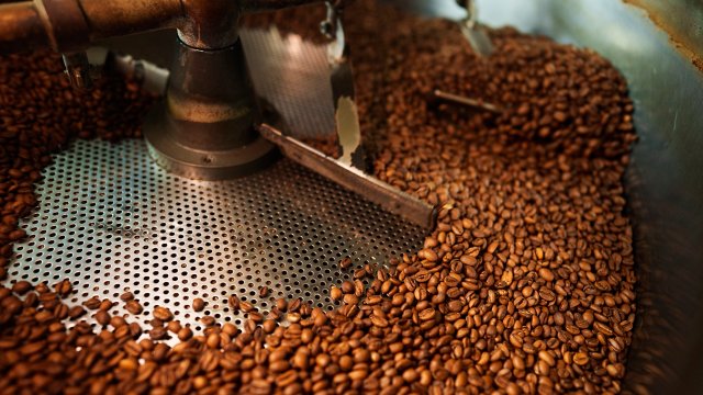 Coffee beans in a coffee roaster