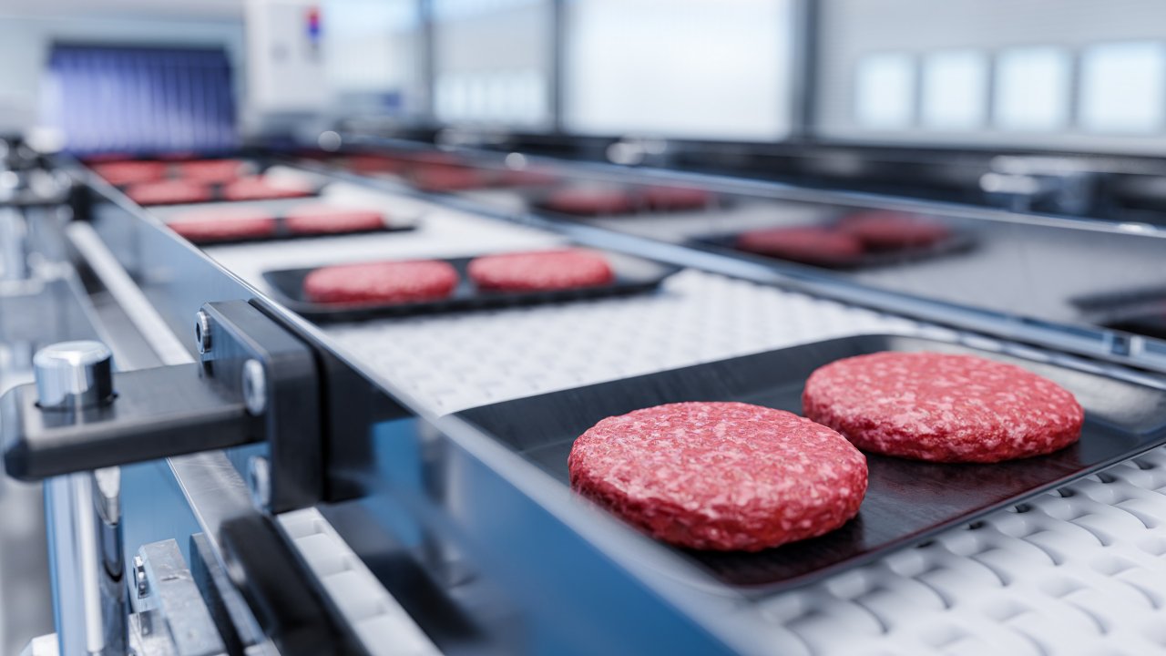 Conveyor in a factory of ready-made beef hamburger cutlets - a modern ecological bio-print meat factory - 3d illustration