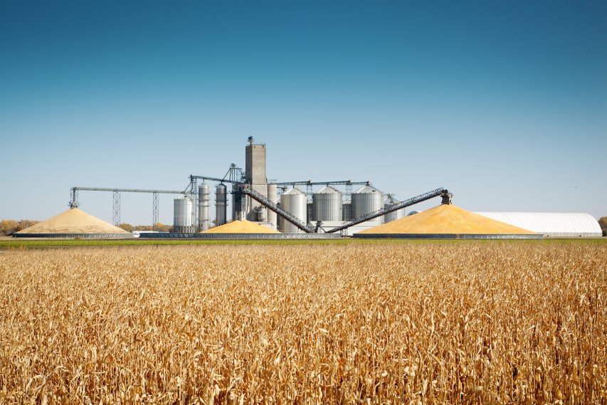 Integrated Architecture in Agricultural Processing