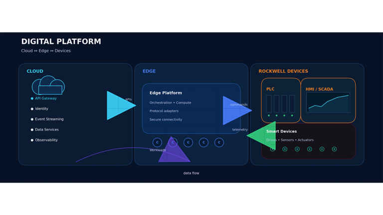 Graphic of Digital Platform Project