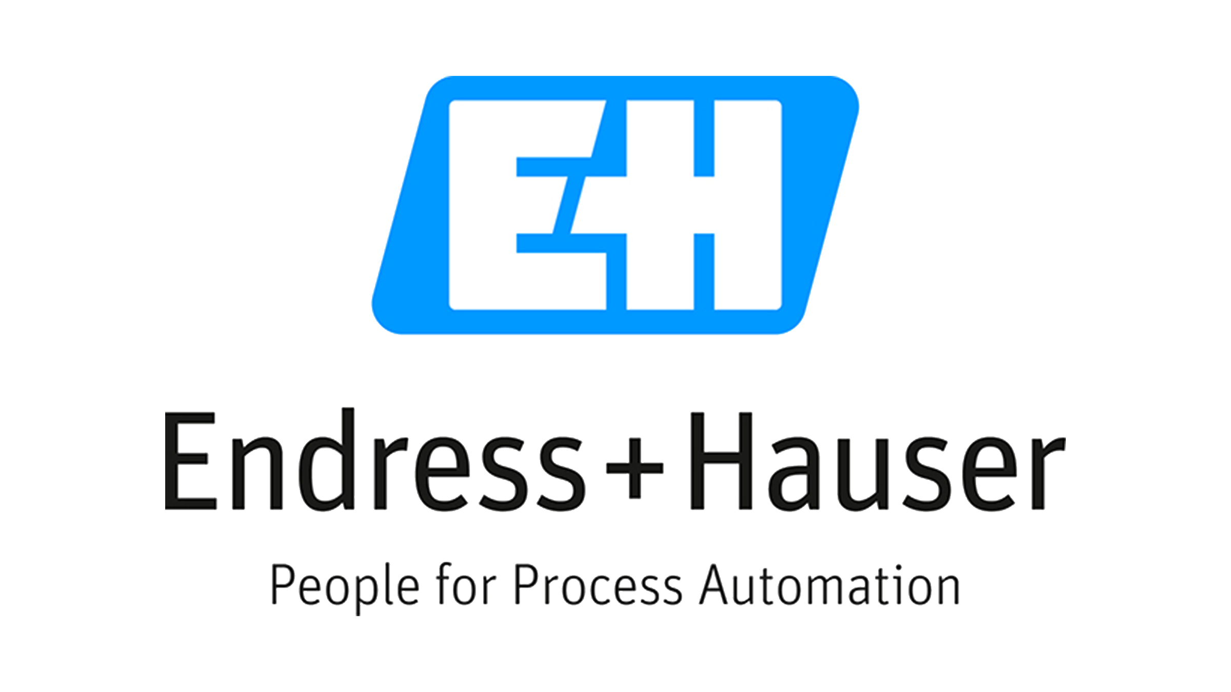 Endress+Hauser People for Process Automation logo