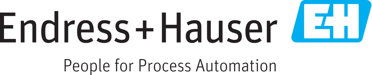 Endress + Hauser logo