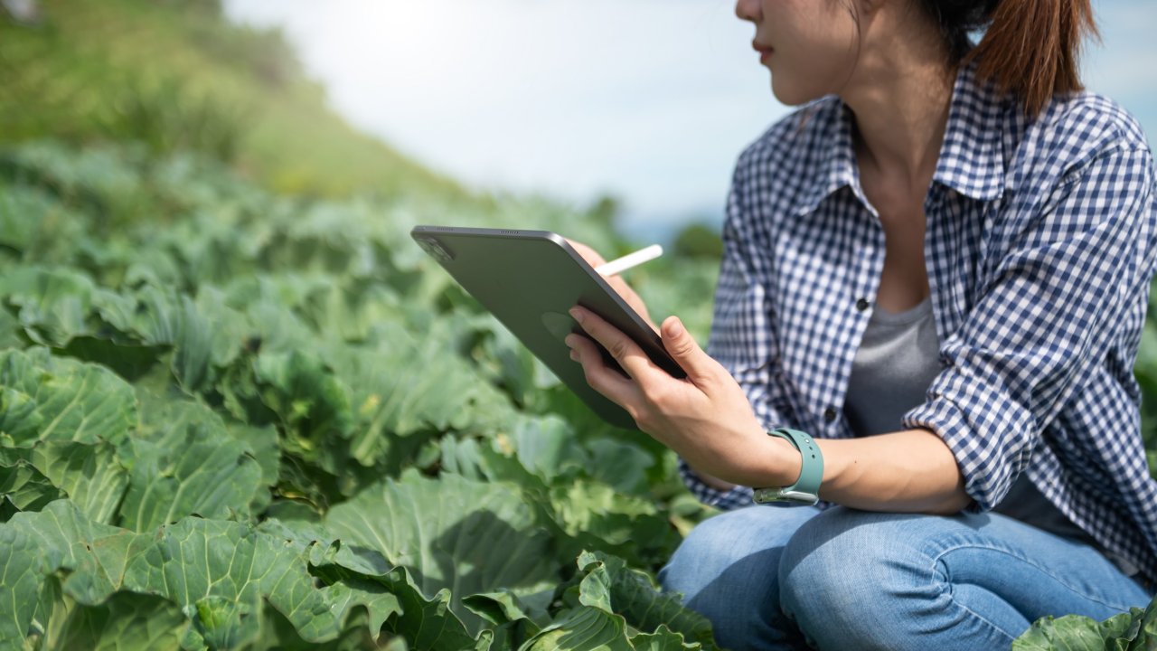 Farmer using digital tablet computer in field, technology application in agricultural growing activity